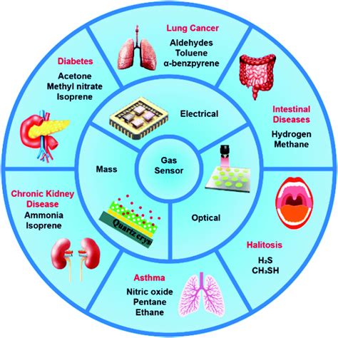 Nanomaterial-based gas sensors used for breath diagnosis - Journal of ...