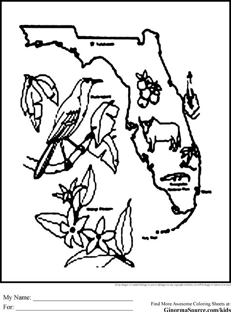 Florida animals coloring pages download and print for free