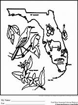 Florida State Symbol Coloring Pages sketch template