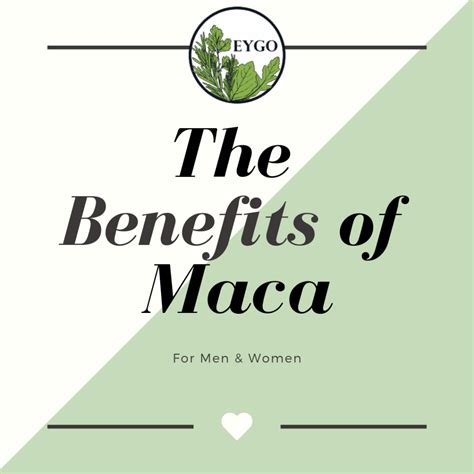 Benefits of Maca for Men & Women + Maca Latte Recipe