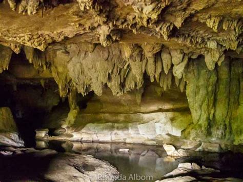 Exploring 2 Waipu Caves: Comparing Glow Worm Tour VS Free Cave