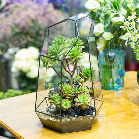 Vases Home Décor IRREGULAR GLASS GEOMETRIC TERRARIUM BOX SUCCULENT ...