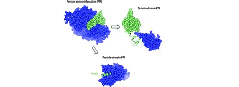 Protein-Protein Interaction Library – Chemistry anywhere