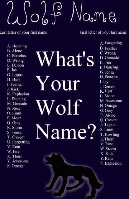 Pin by Arin Lumien on Wolf Spirit | Wolf name, Funny names, Funny name generator