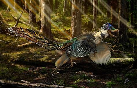 This Spectacularly Preserved Feathered Dinosaur From China Is Related To Velociraptor