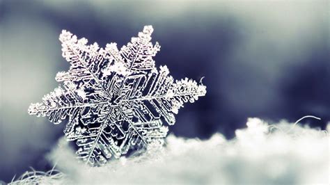 Snowflake Wallpapers - Wallpaper, High Definition, High Quality, Widescreen