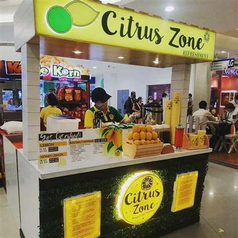 Things You Need To Know About Franchising Citrus Zone