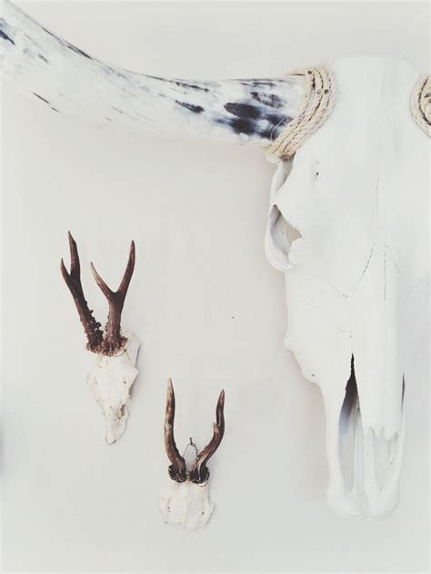 Antler wall decor | Antler wall decor, Farm design, Ivy house