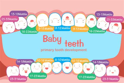 Teeth development in children: From Baby Teeth to Permanent Teeth Do you know the process of ...