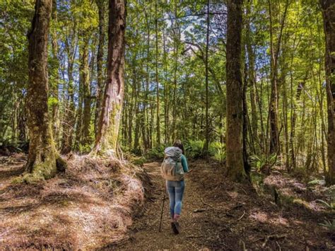 Lake Waikaremoana Great Walk: A Complete Guide