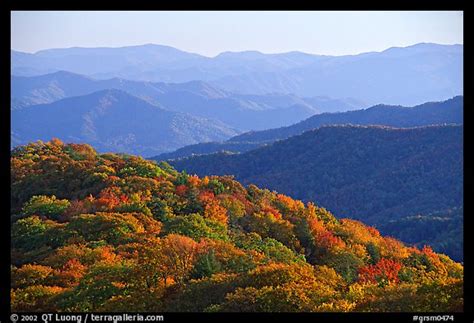 Picture/Photo: Trees with autumn colors and blue ridges from Clingmans ...