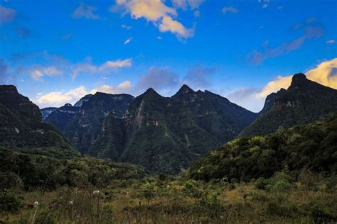 Programação online celebra os 60 anos do Parque Nacional de São Joaquim ...