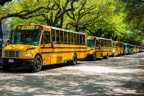 Rent School Bus & Mini School Bus: Best Yellow Bus Pricing