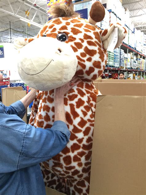 Giant stuffed giraffe in 2024 | Big giraffe stuffed animal, Giraffe ...