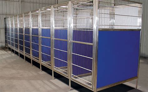 Raised Veterinary Dog Kennels in Stainless or Color Panels | TriStar