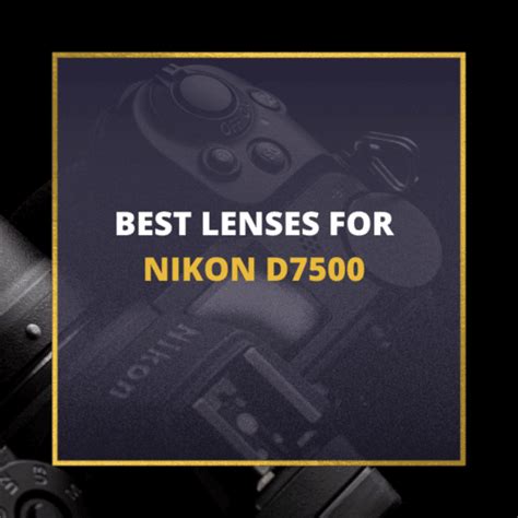 📸 5 MUST-OWN Lenses For Nikon D7500 In 2024 [Guide]