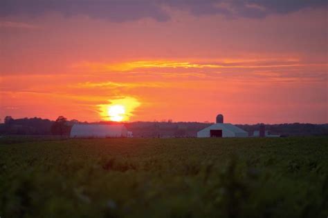 An Overview of Missouri Agriculture - Farm Flavor