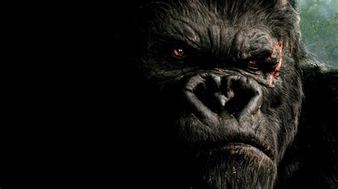 Fondos de pantalla : películas, King Kong, oscuridad, mamífero ...