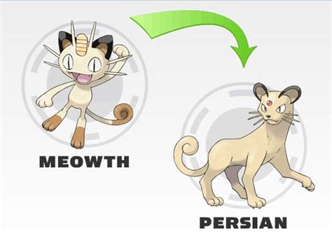 Meowth evolution | Pokemons e suas evoluções, Pokemon, Pokémon firered