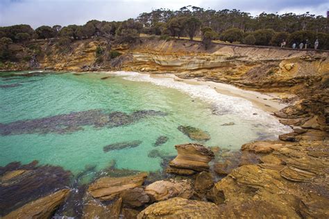 The Maria Island Walk-Tasmania – Ultimate Adventures With Sandy