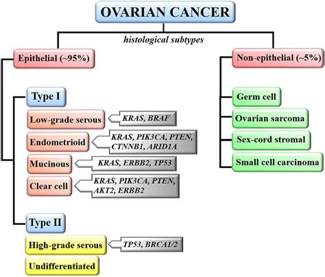 Classification of ovarian malignancies. Ovarian neoplasms are... | Download Scientific Diagram