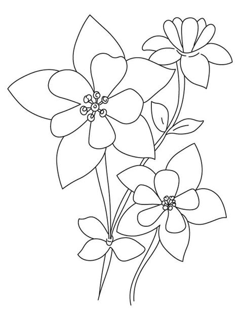 Columbine Flower Drawing at GetDrawings | Free download