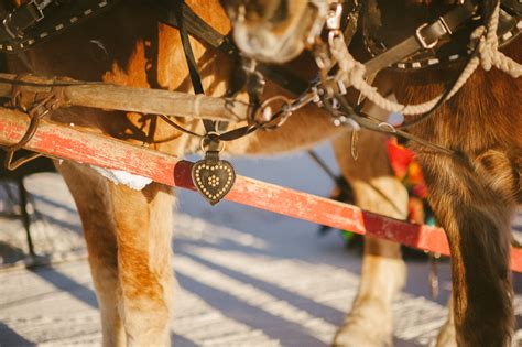 Steamboat Sleigh Ride Wedding at Haymaker - Andy Barnhart Wedding Photography