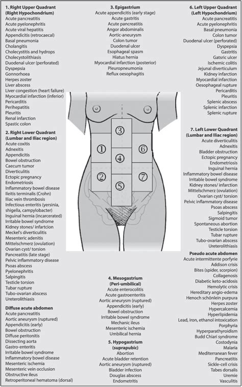 Abdominal Pain Diagnosis Chart - Best Picture Of Chart Anyimage.Org