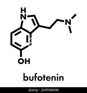 Bufotenin molecule. Tryptamine present in several psychedelic toads. Stylized 2D renderings and ...