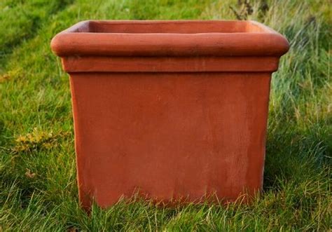 Large Terracotta tree planters