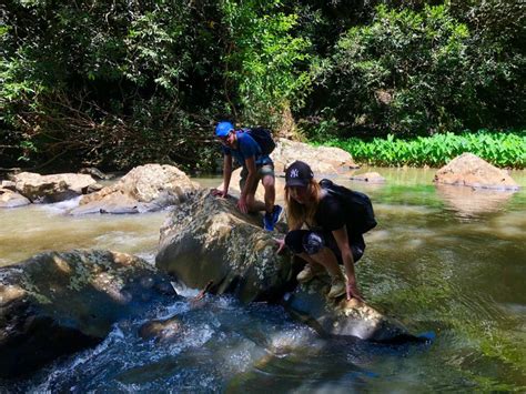 From Chamarel: Waterfall Eco-Hike Adventure | GetYourGuide