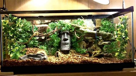 Pin by Eien Akers on Neat tank ideas | Snake terrarium, Ball python ...