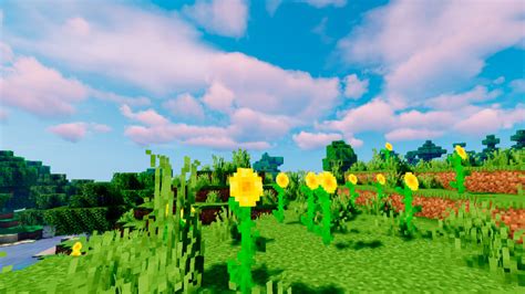 Sunflower Plains biome – Pixelmon Reforged Wiki