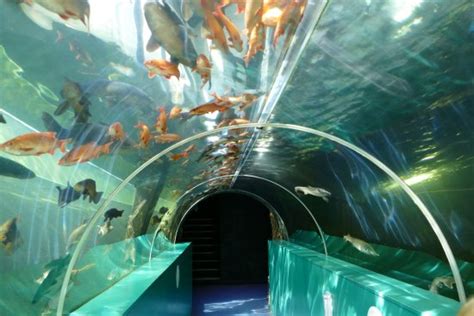 Lakes Aquarium (Newby Bridge) - 2021 All You Need to Know Before You Go (with Photos) - Newby ...