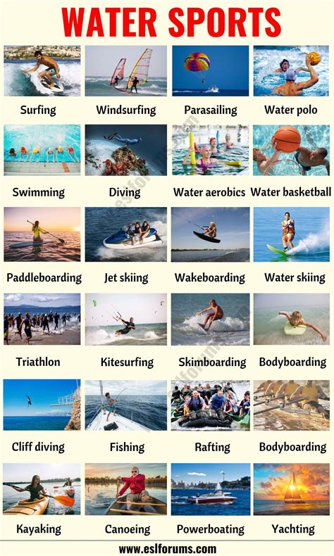 Water Sports | List of 30+ Incredibly Awesome Water Sports You Must Try! - ESL Forums | English ...