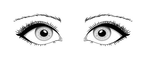 Eyes Vector by saigolp on DeviantArt