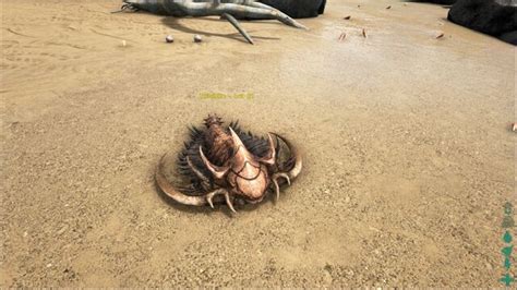 Image - ARK-Trilobite Screenshot 006.jpg | ARK: Survival Evolved Wiki | FANDOM powered by Wikia