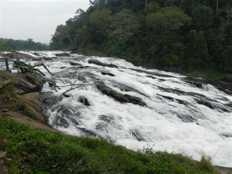 Vazhachal Waterfalls (Thrissur) - 2020 What to Know Before You Go (with Photos) - Tripadvisor