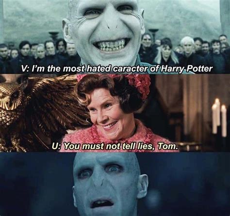 22 Memes That Have Us Calling Voldemort "He Who Should Not Be Respected"