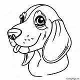 Basset Hound Coloring Page  Pagescom sketch template