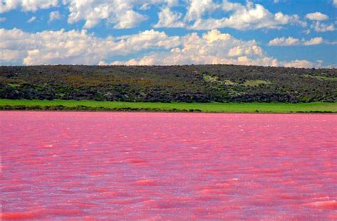 Once a Year This Lake Turns Completely Pink – Fodors Travel Guide