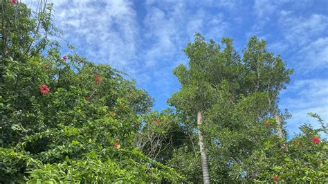 Bundaberg weather to return to average temperatures over the weekend | The Courier Mail