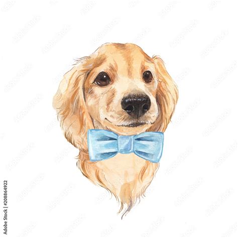 Cute dog sketch. Hand painted. Watercolor illustration. Stock Illustration | Adobe Stock