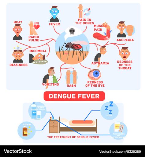 Dengue Fever Poster