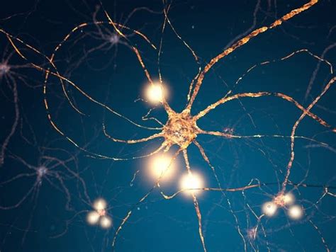 The nerve! Electricity in our bodies | Brains on! A podcast for kids & curious adults