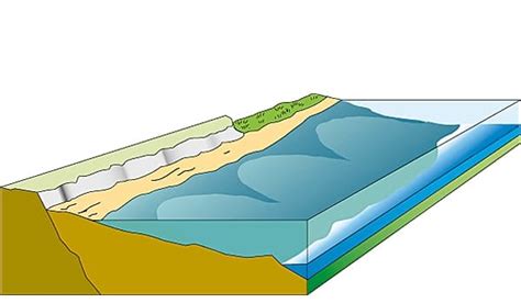 Why is littoral zone important? Archives - IILSS-International ...