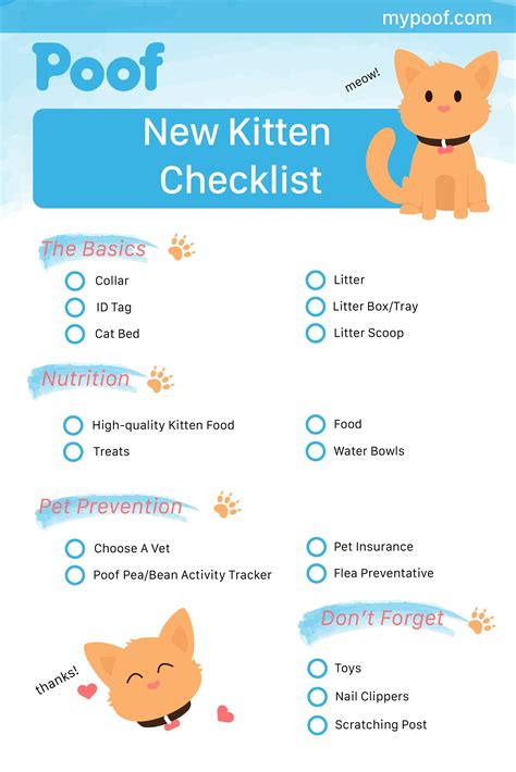 New Kitten Checklist! #kittenchecklist #kittens #catscarechecklist ...