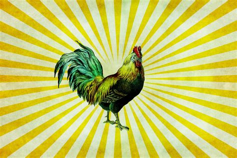 Rooster Vintage Sunburst Background Free Stock Photo - Public Domain Pictures