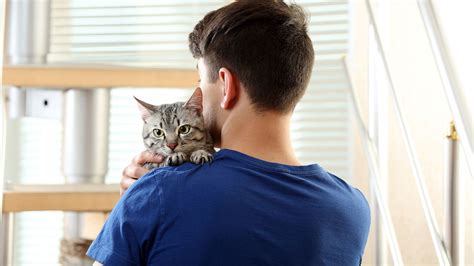 Why Does My Cat Smell Good? The Science Behind The Scent – Furrly Pet