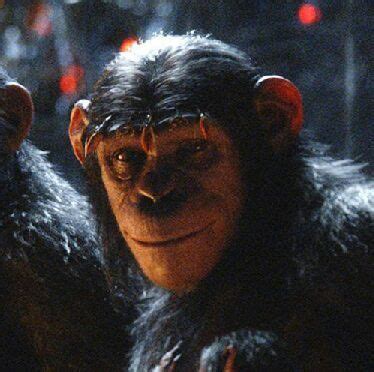 Cornelia | Wiki | Planet of the Apes Amino